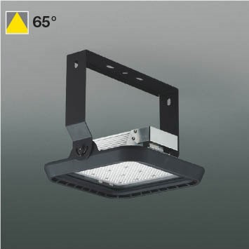 AH54300 RCY~ Vx[XCg LED(F)