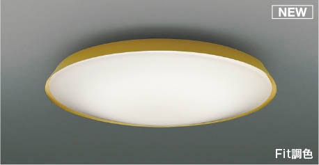 AH55828 RCY~ V[OCg uX LED F Fit `12