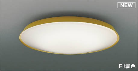AH55831 RCY~ V[OCg uX LED F Fit `6
