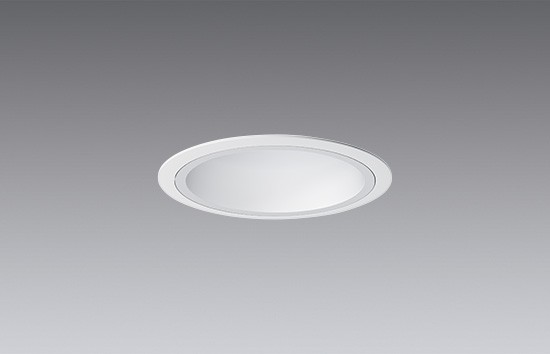ERD9820W Ɩ _ECg 100 zCg LED F  (ERD9820W)
