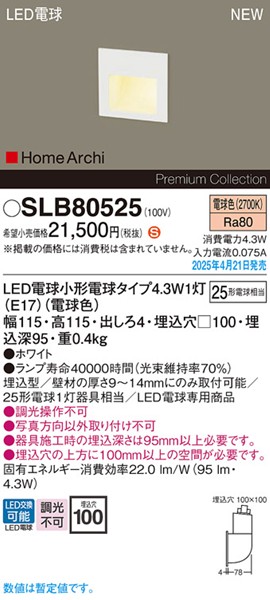 2025N0421F SLB80525 pi\jbN tbgCg 100p zCg LEDidFj