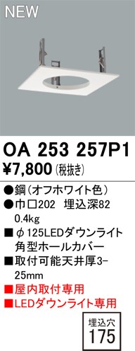 OA253257P1 I[fbN _ECgz[Jo[ 175p zCg