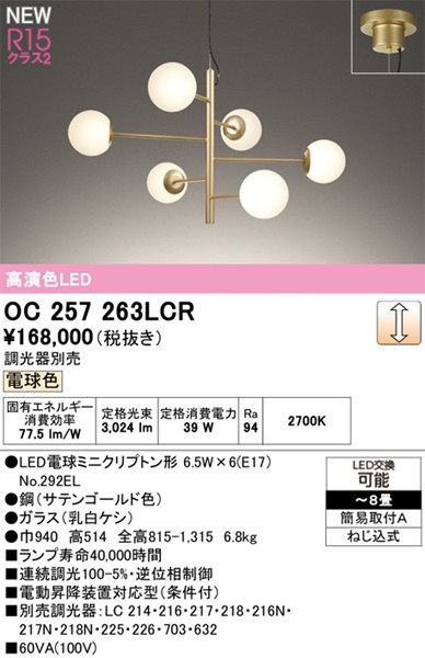OC257263LCR I[fbN VfA S[h LED dF 
