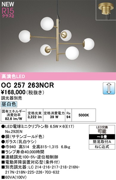 OC257263NCR I[fbN VfA S[h LED F 