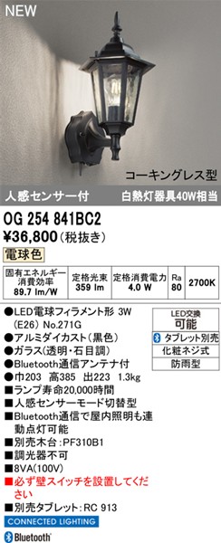 OG254841BC2 I[fbN OpuPbgCg ubN LED dF  Bluetooth ZT[t