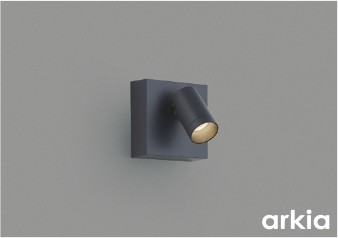 AB57228 RCY~ uPbgCg O[ LED F  Lp