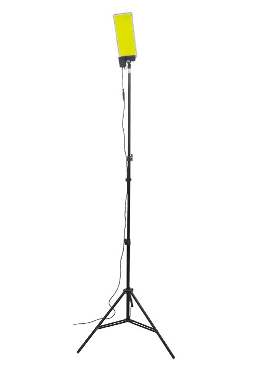 【メーカー直送】 【法人様限定】 DCC005 MTO DC12V スタンドライト LED 昼光色 段調光 4000lm