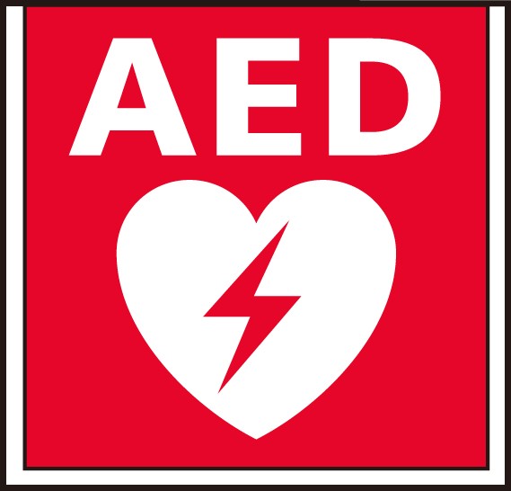 FK20392 �p�i�\�j�b�N �W�����p�l�� AED �{�̕ʔ�